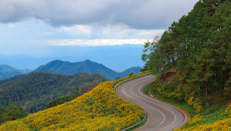 a road curves and bends through the mountains and fields of wildflowers.
